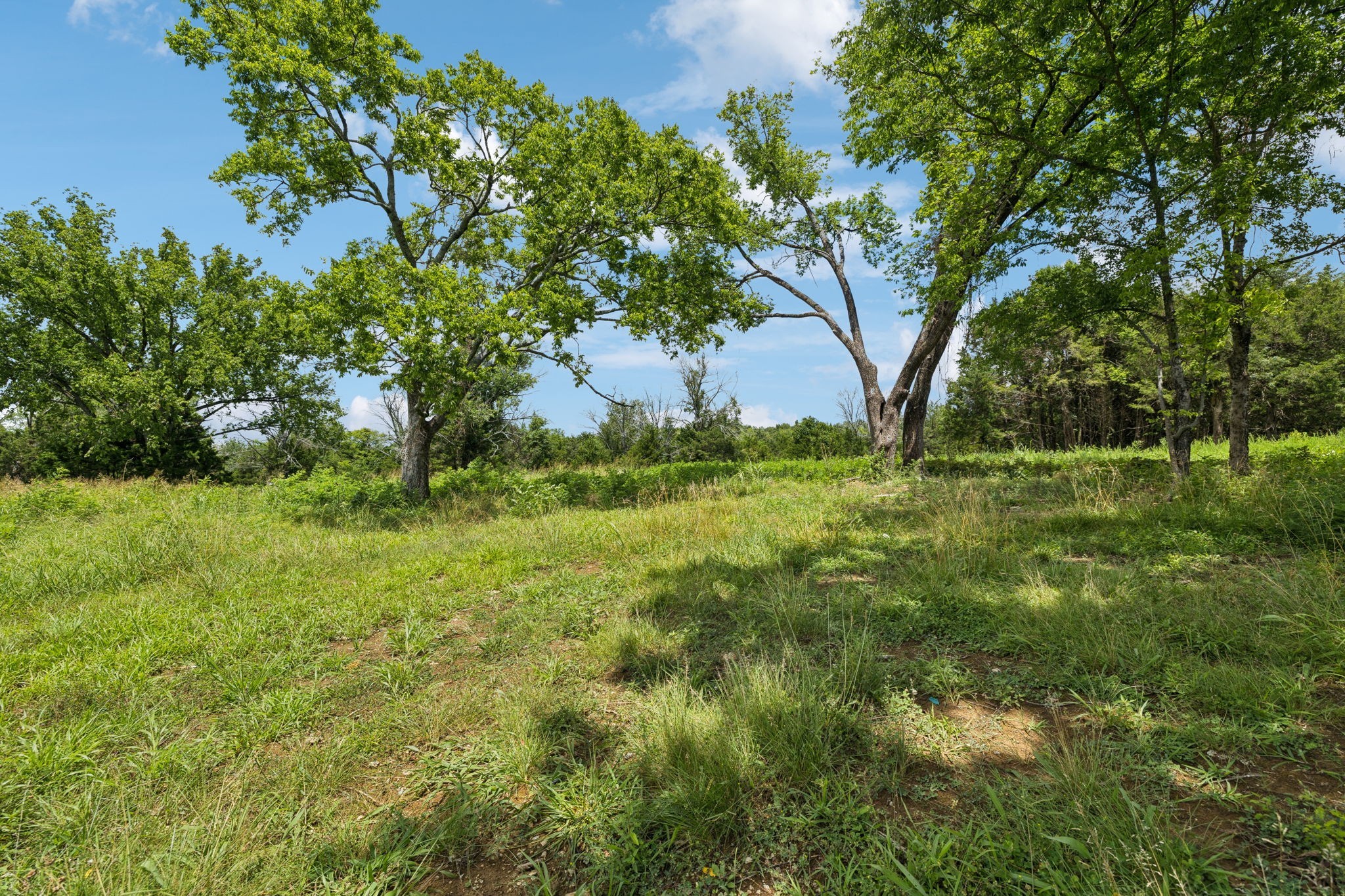 7665 Shelbyville Pike Property Photo 26