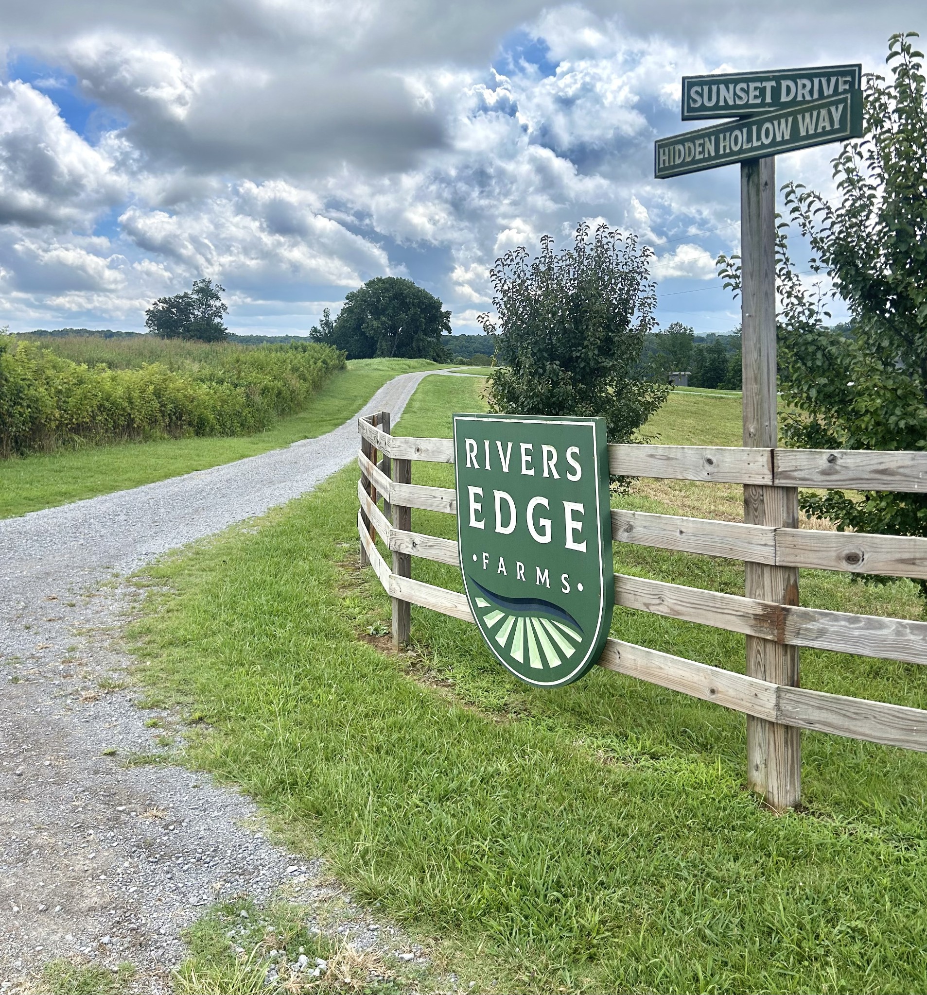 801 Hidden Hollow Way Property Photo 1