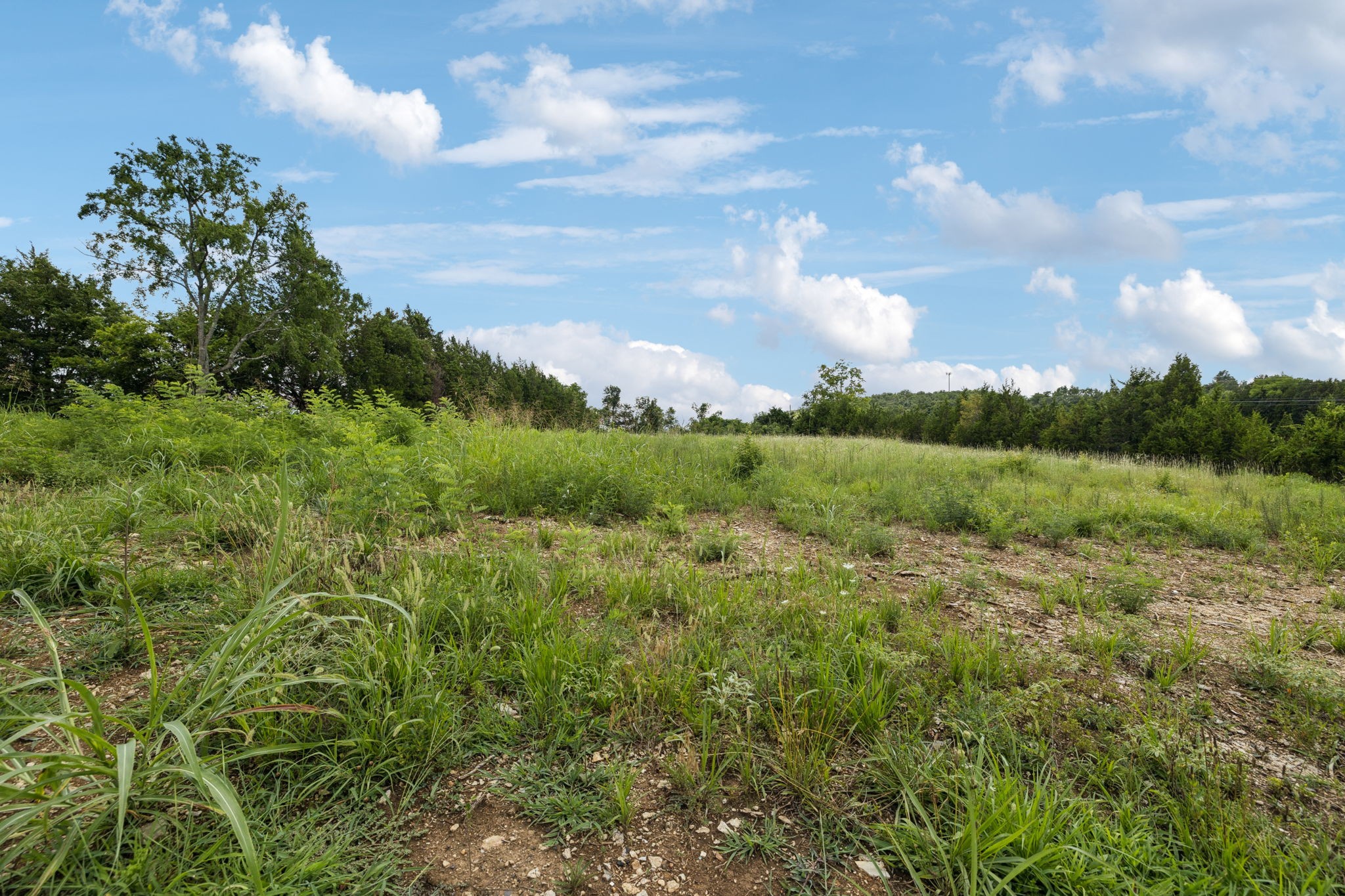7665 Shelbyville Pike Property Photo 5