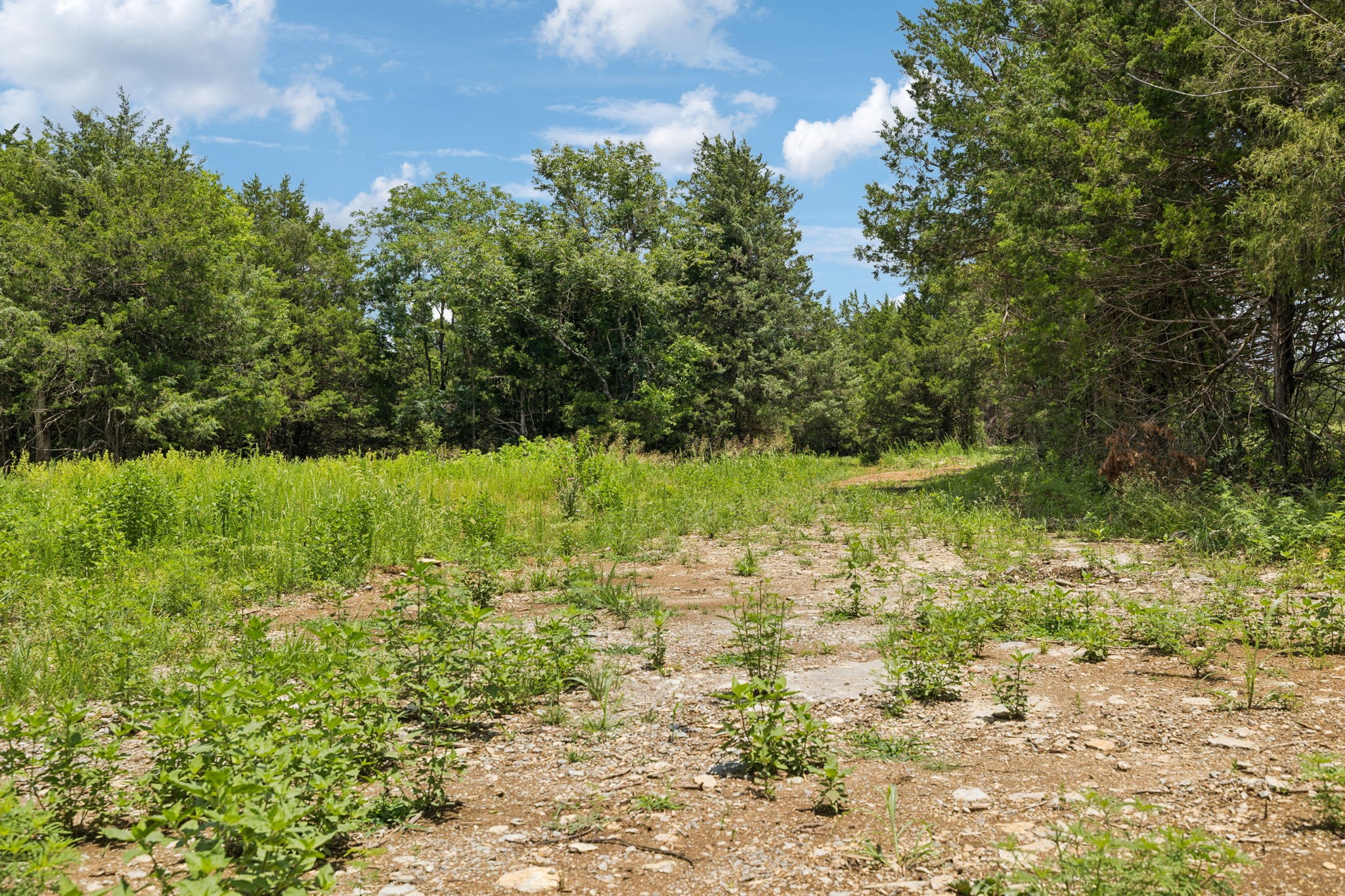 7665 Shelbyville Pike Property Photo 12