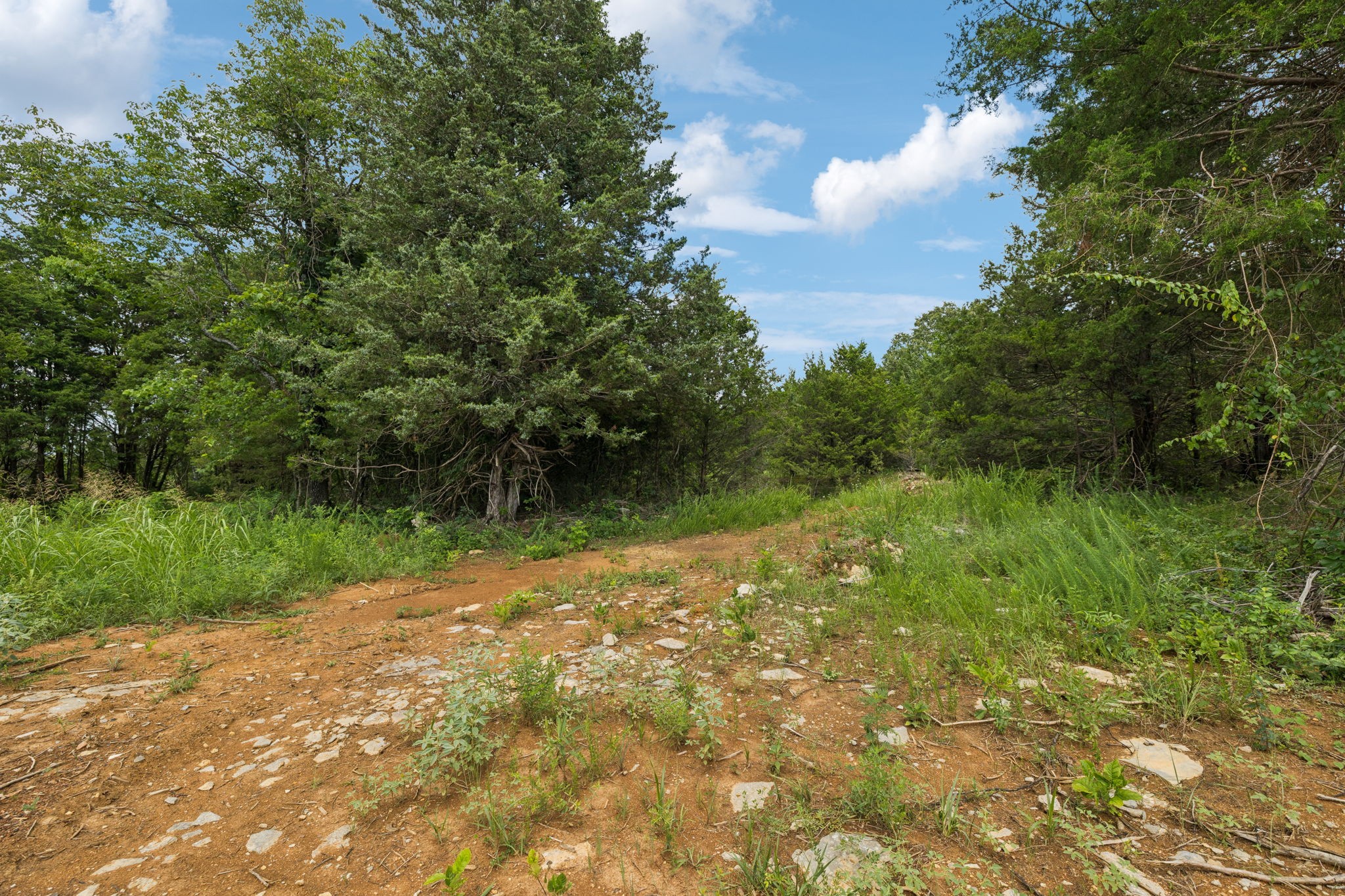 7665 Shelbyville Pike Property Photo 15
