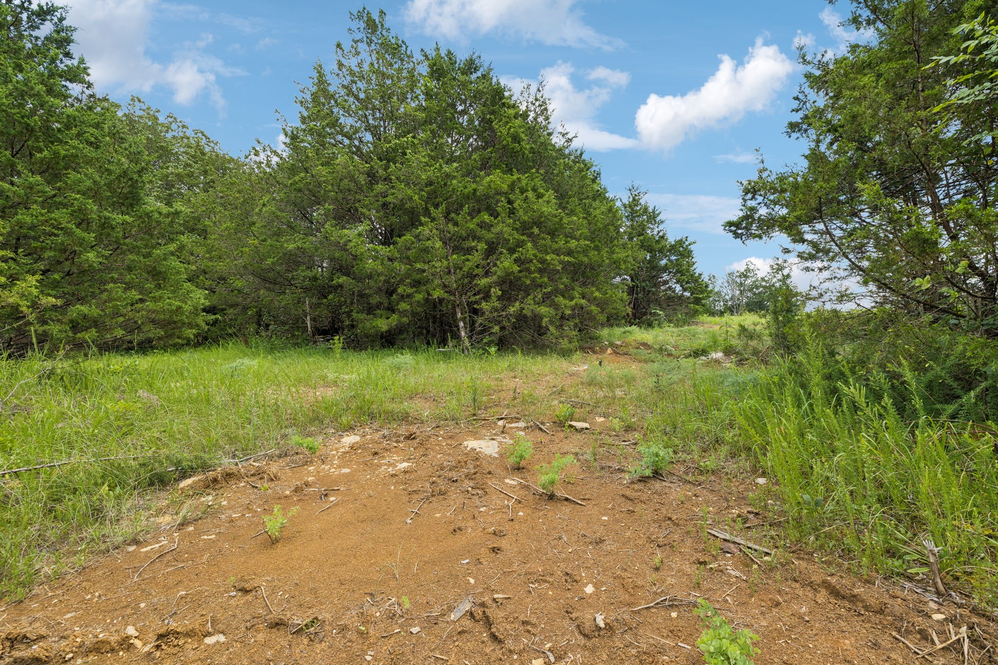 7665 Shelbyville Pike Property Photo 19