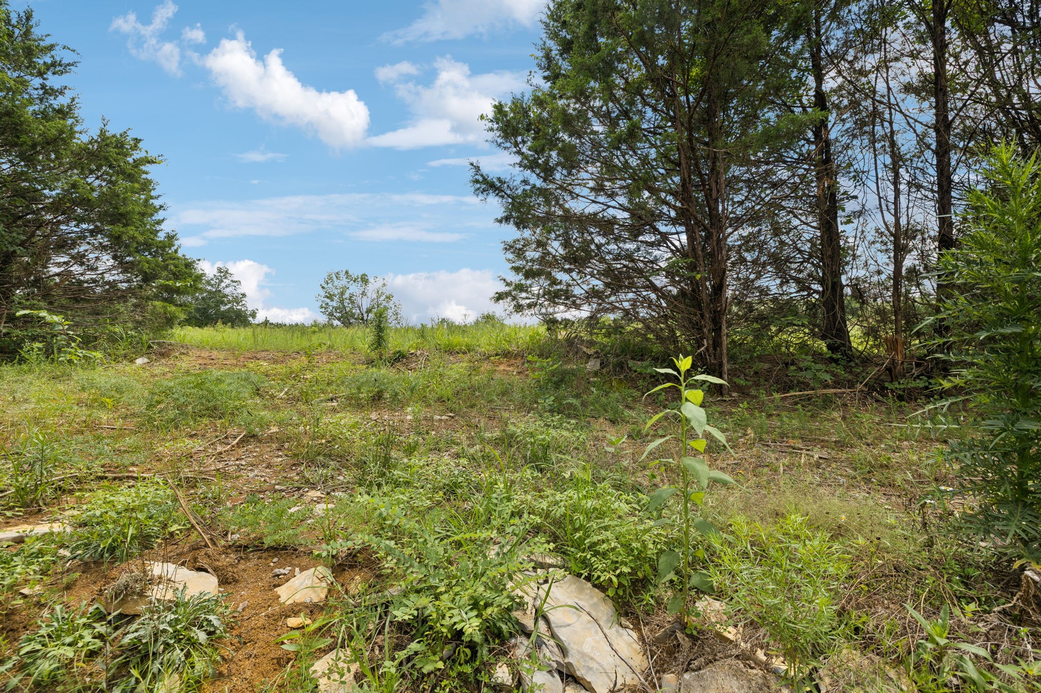 7665 Shelbyville Pike Property Photo 20