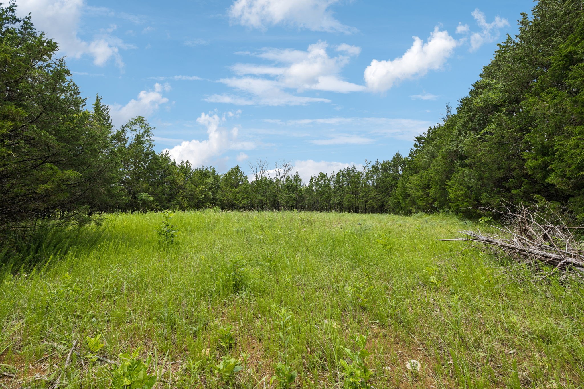 7665 Shelbyville Pike Property Photo 21