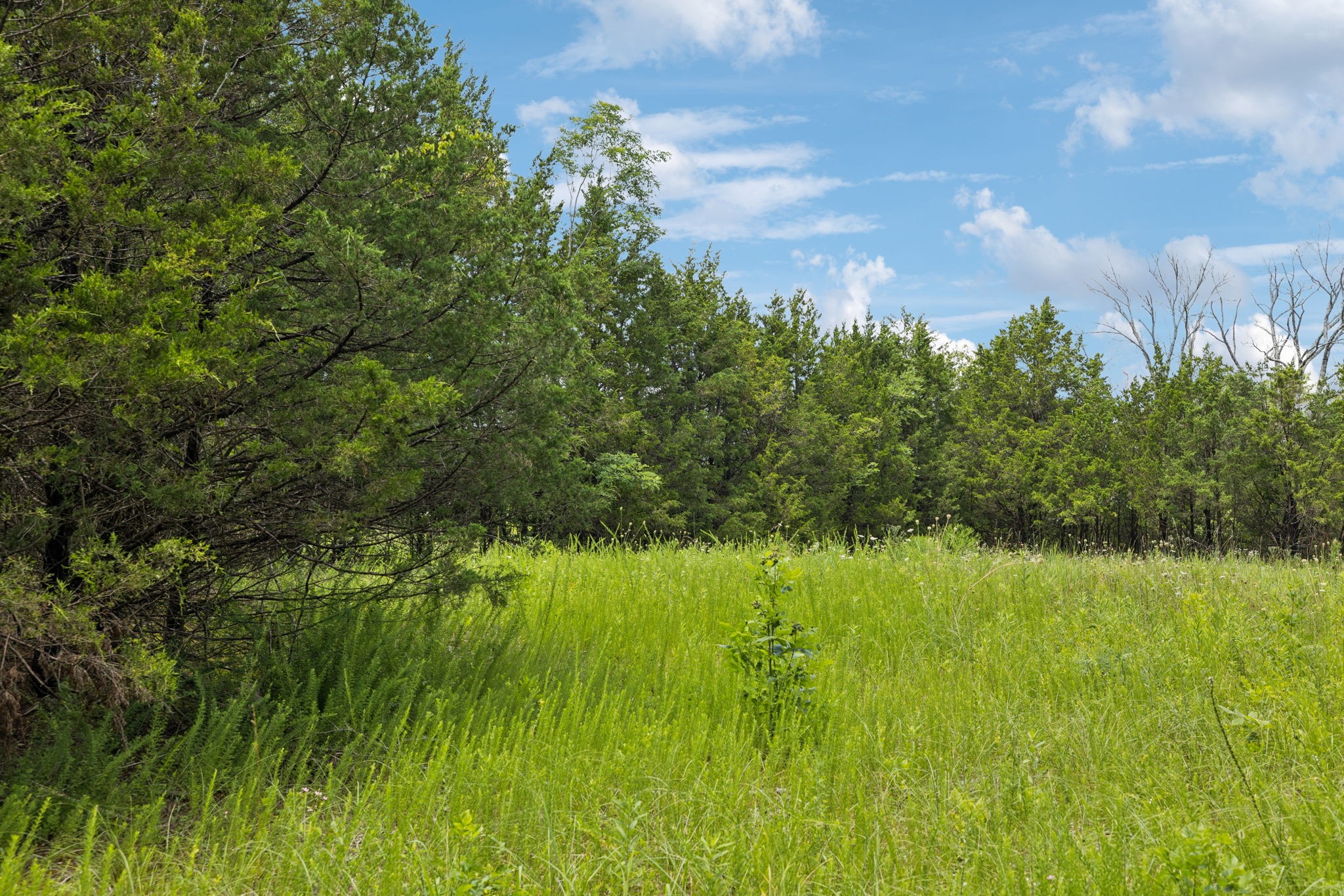 7665 Shelbyville Pike Property Photo 22