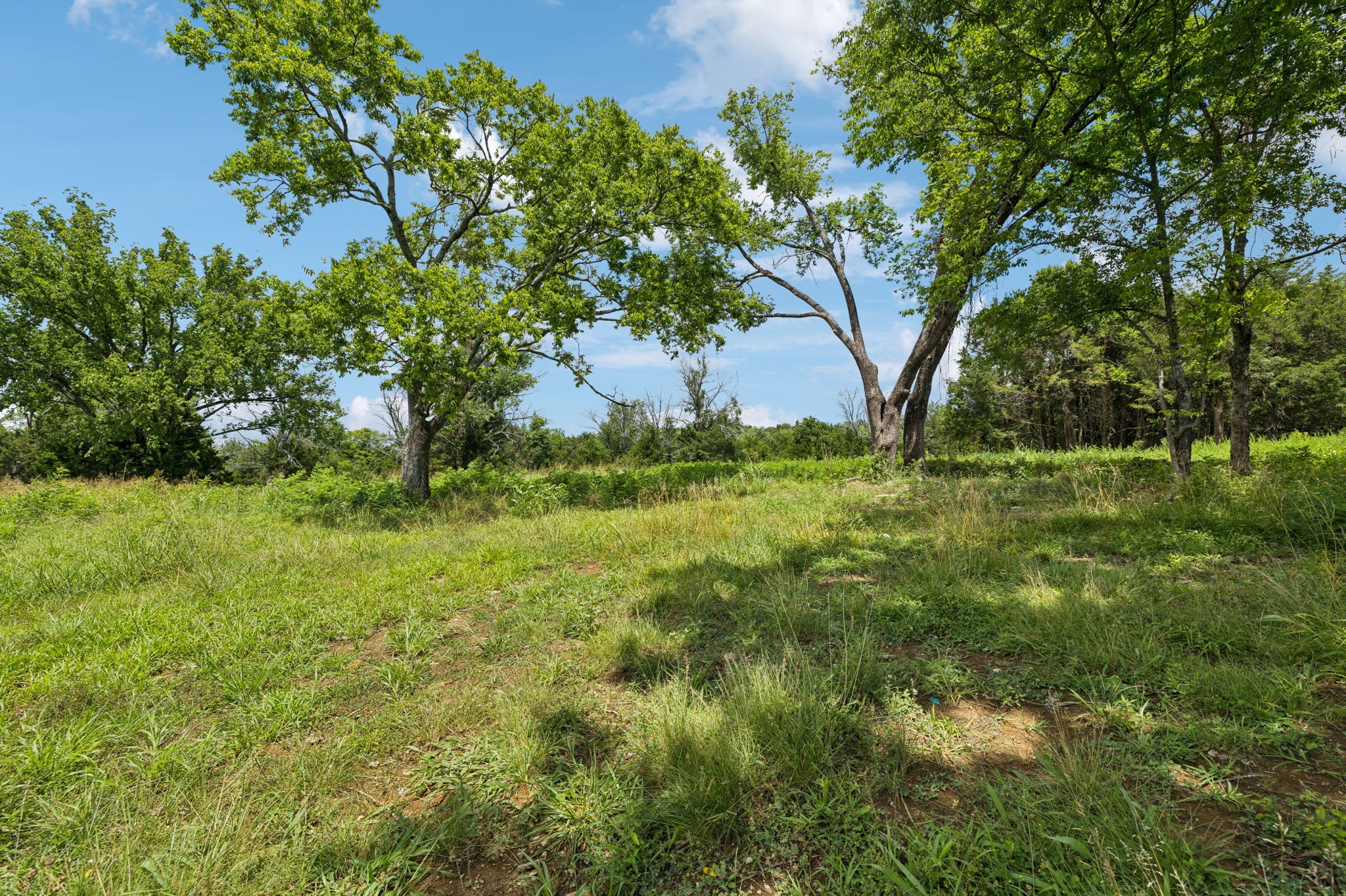 7665 Shelbyville Pike Property Photo 24