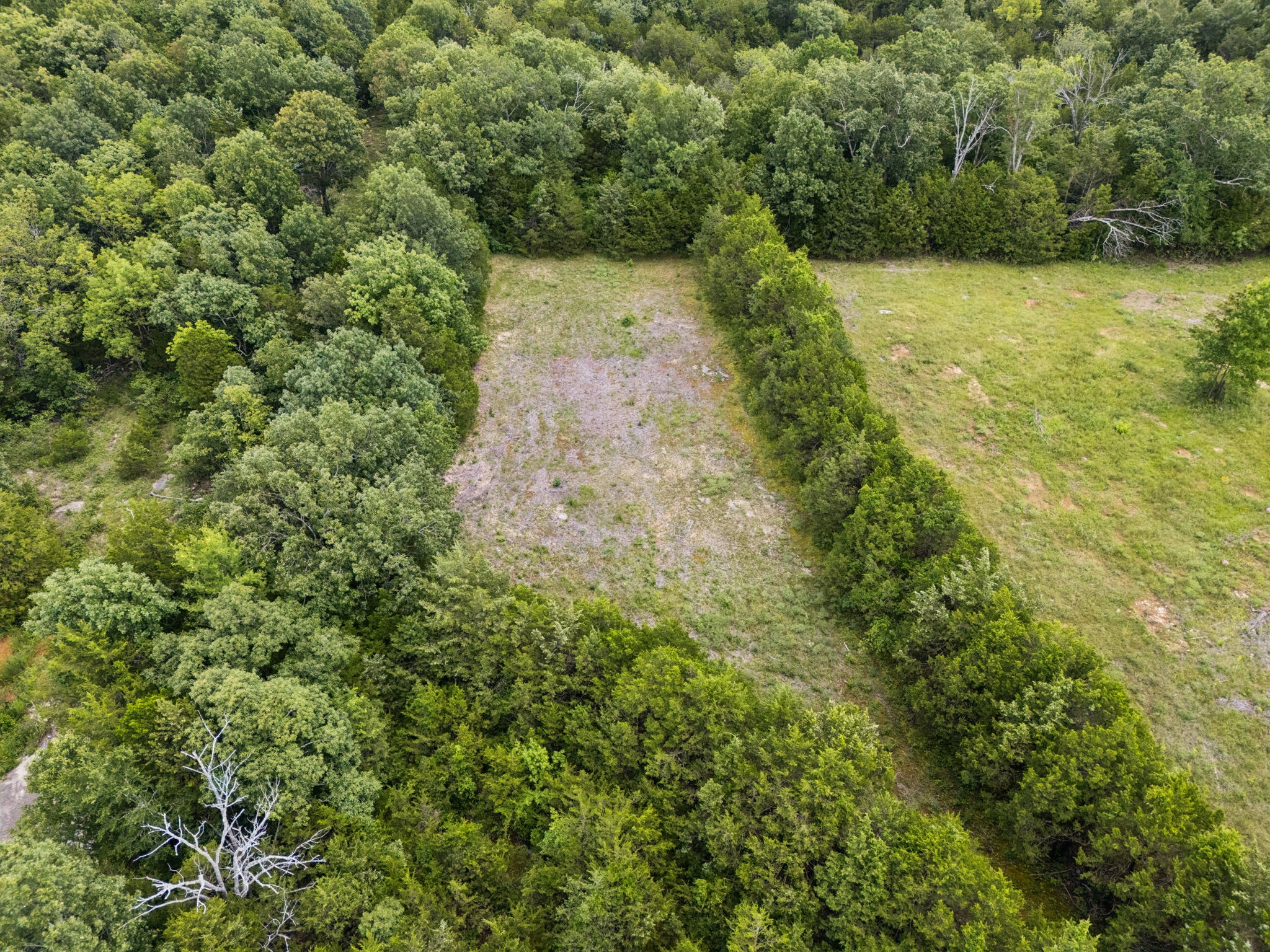 7665 Shelbyville Pike Property Photo 41