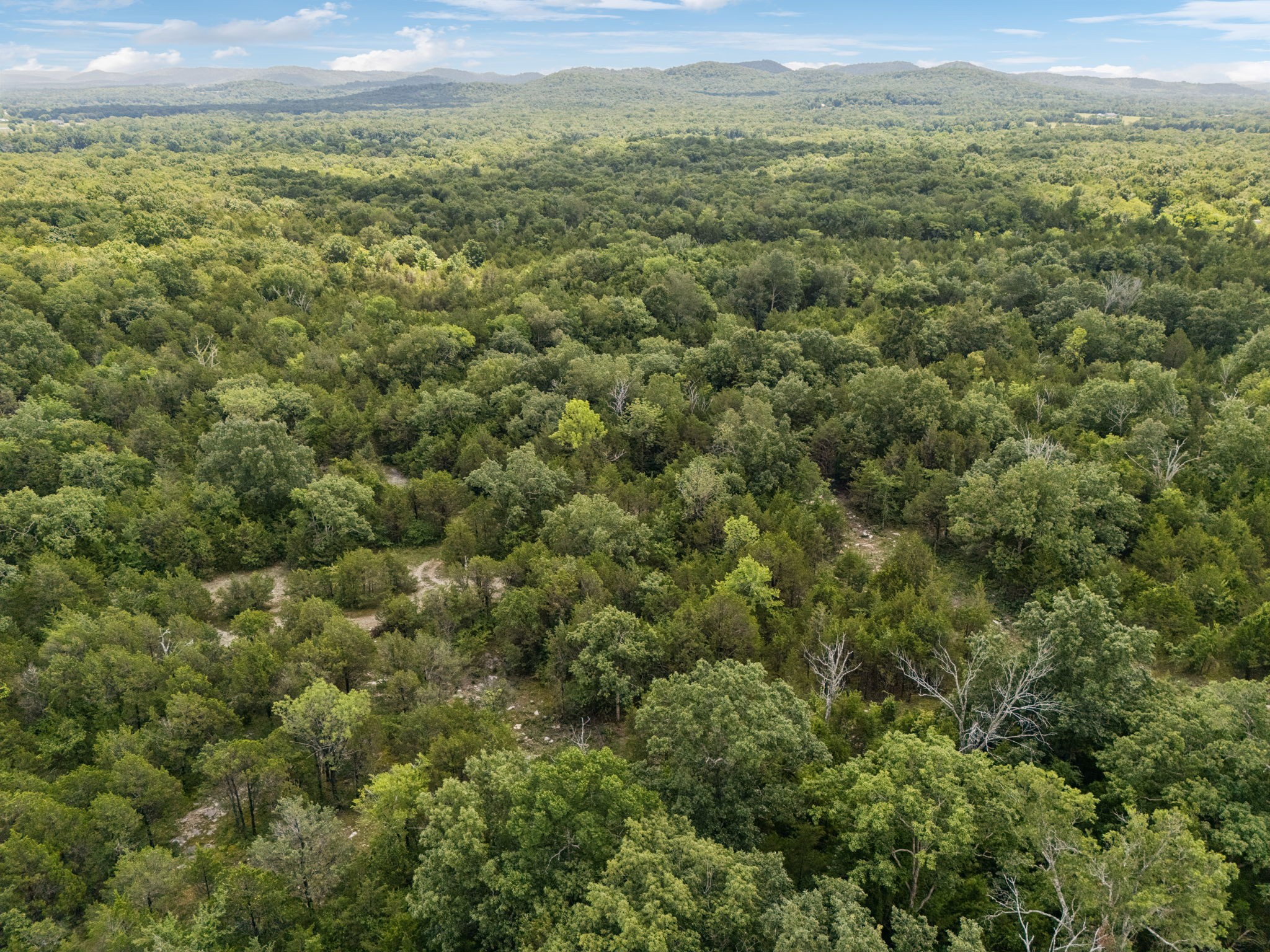7665 Shelbyville Pike Property Photo 42