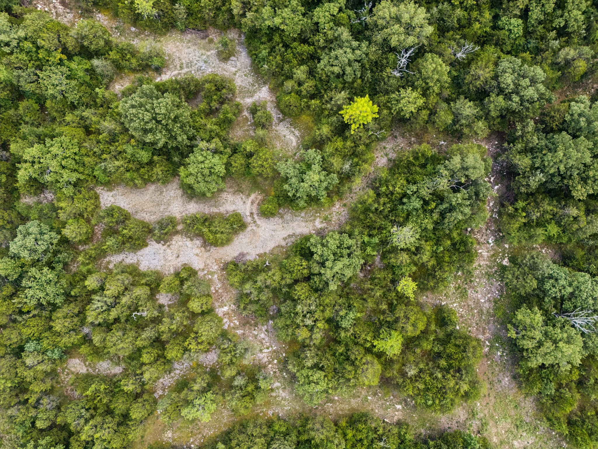 7665 Shelbyville Pike Property Photo 43