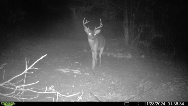7665 Shelbyville Pike Property Photo 53