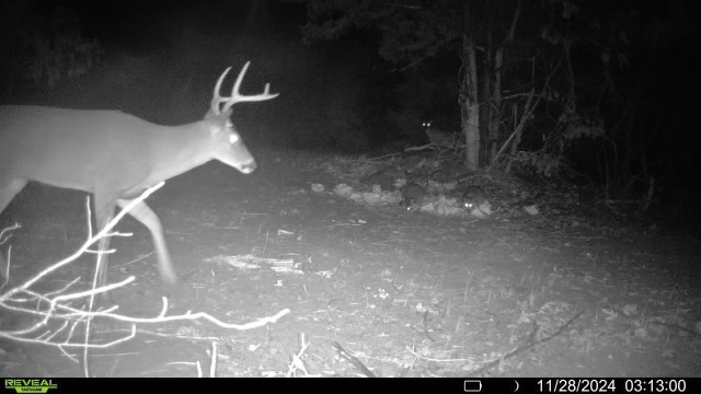 7665 Shelbyville Pike Property Photo 54