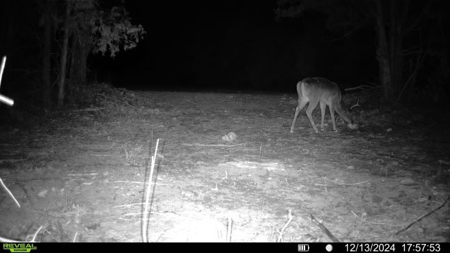 7665 Shelbyville Pike Property Photo 55