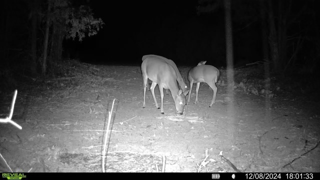 7665 Shelbyville Pike Property Photo 56
