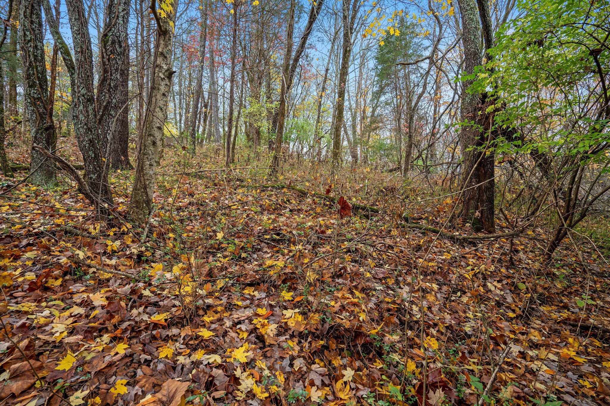 4087 Murfreesboro Rd, W Property Photo 2