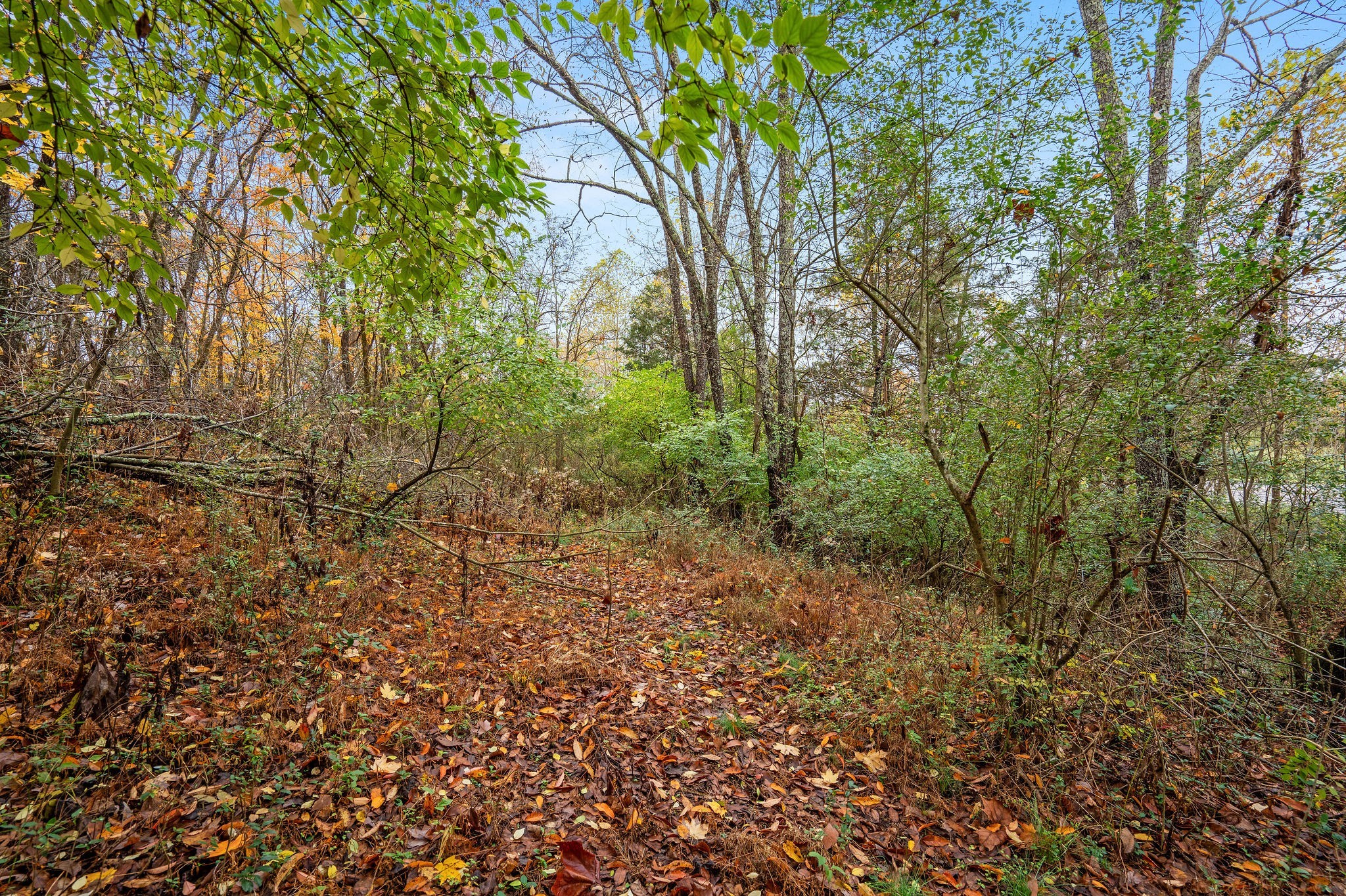 4087 Murfreesboro Rd, W Property Photo 5