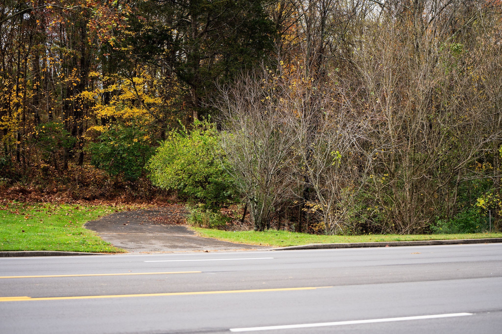 4087 Murfreesboro Rd, W Property Photo 6