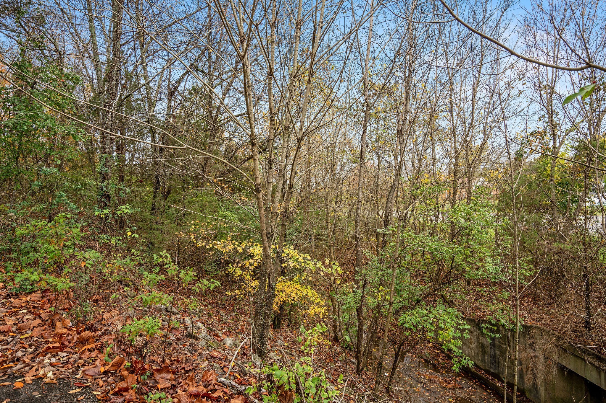 4087 Murfreesboro Rd, W Property Photo 16