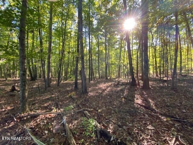 0 Partridge Tr Property Photo 1