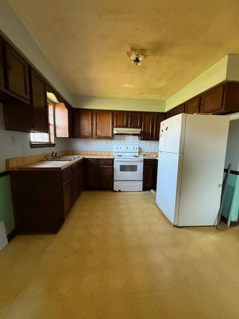 953 Durham Loop Property Photo 3