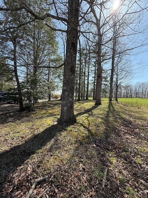 953 Durham Loop Property Photo 12