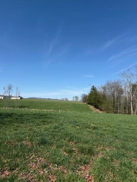 953 Durham Loop Property Photo 19