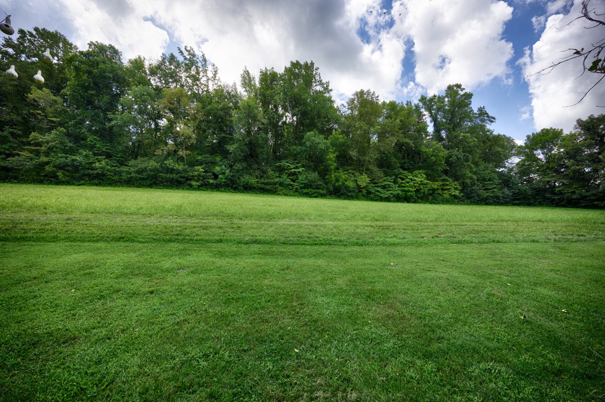 414 Davis Hill Rd Property Photo 51