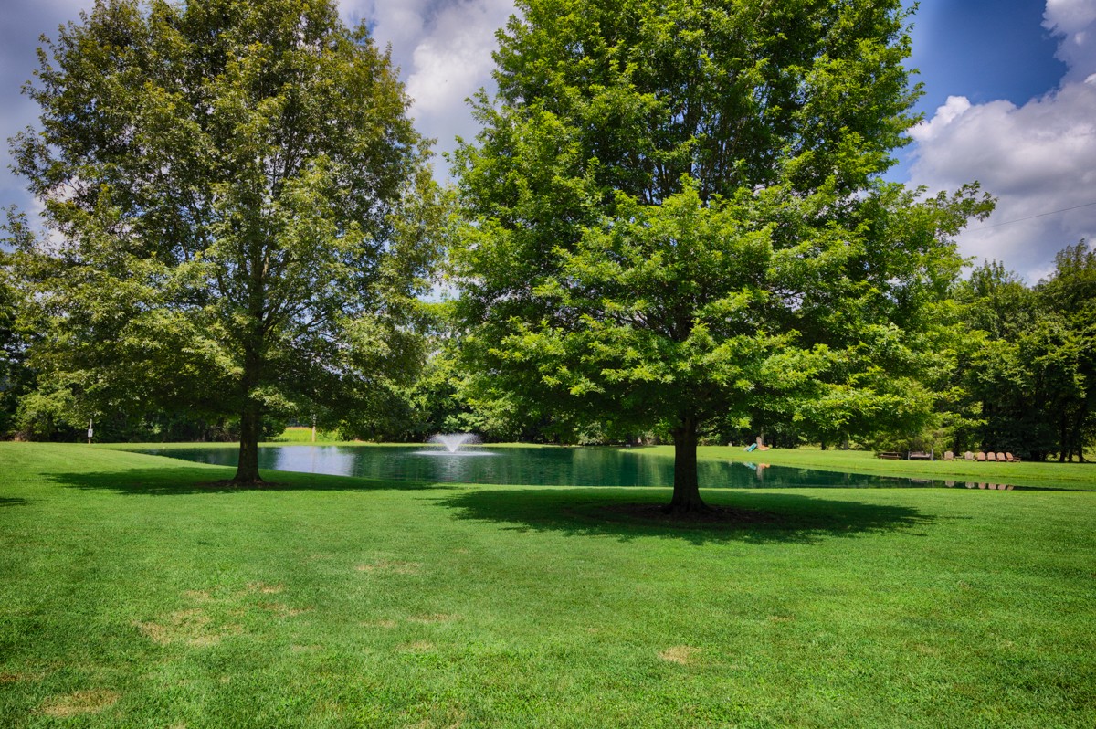 414 Davis Hill Rd Property Photo 52