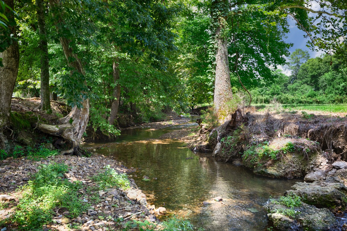 414 Davis Hill Rd Property Photo 56