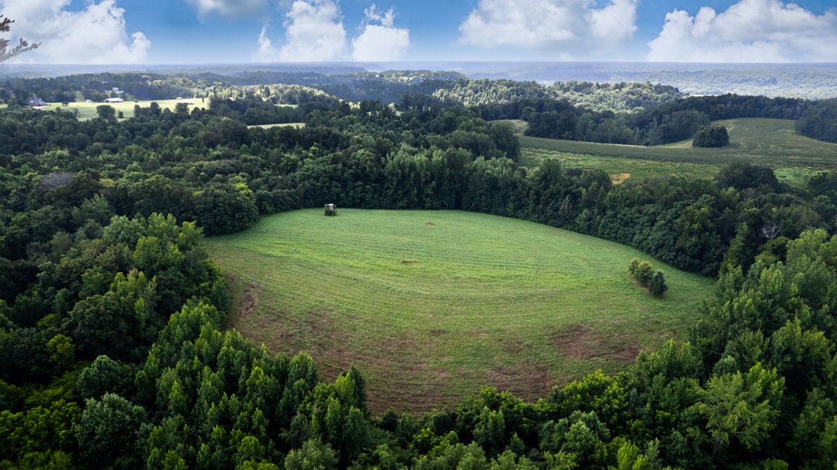 414 Davis Hill Rd Property Photo 64