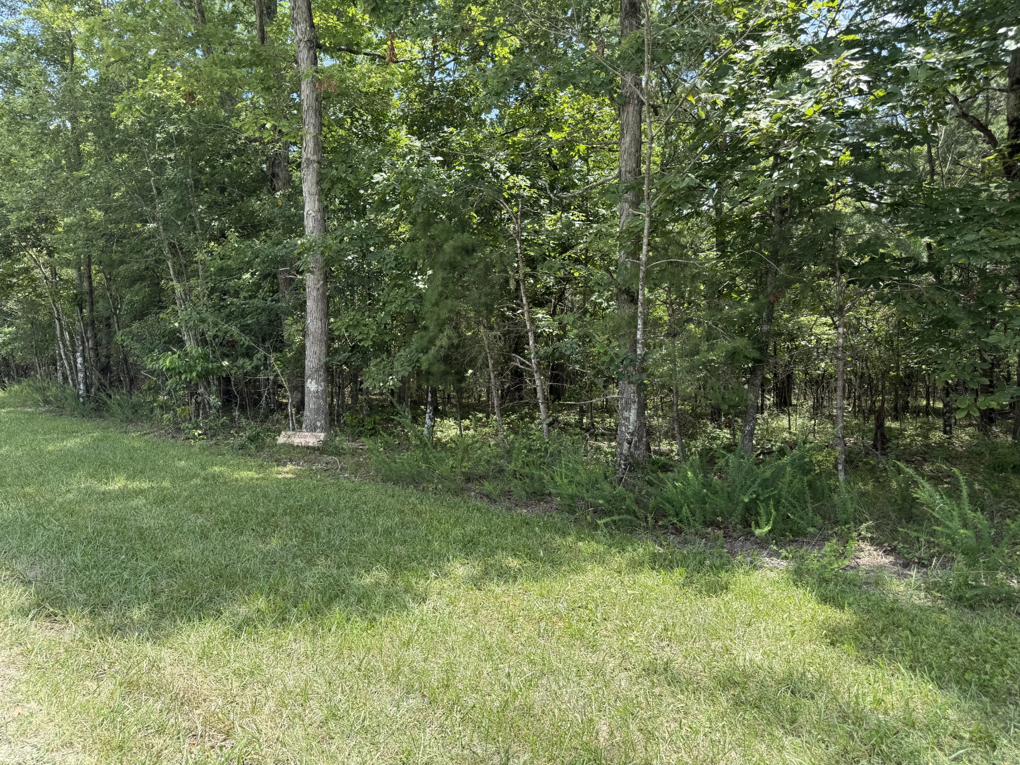 0 Long Branch Rd Property Photo 1