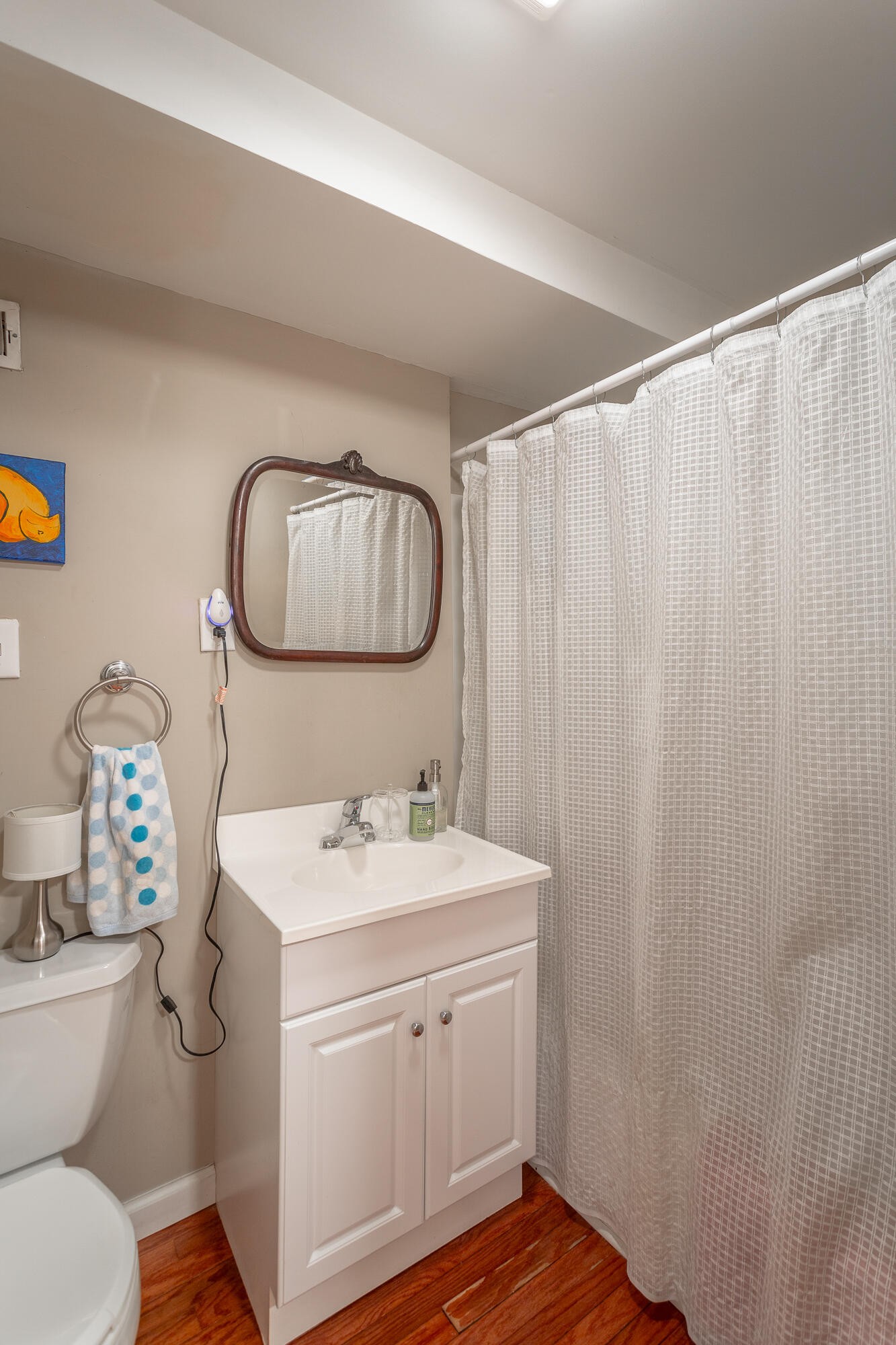 1108 Albany Street Property Photo 13