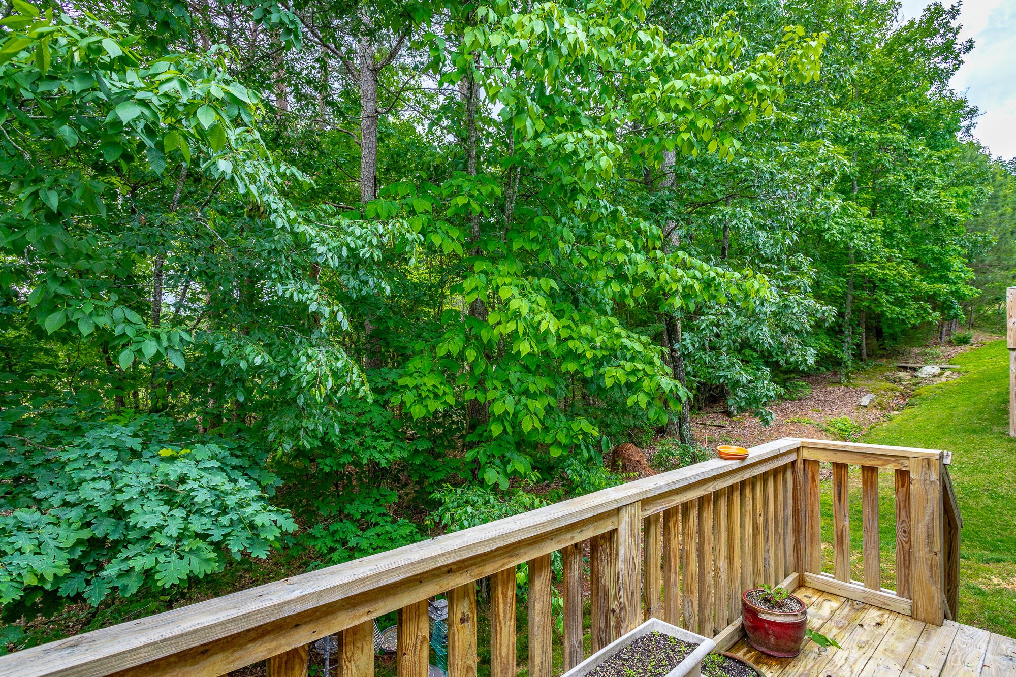 229 Courtland Crest Drive, Sw Property Photo 30