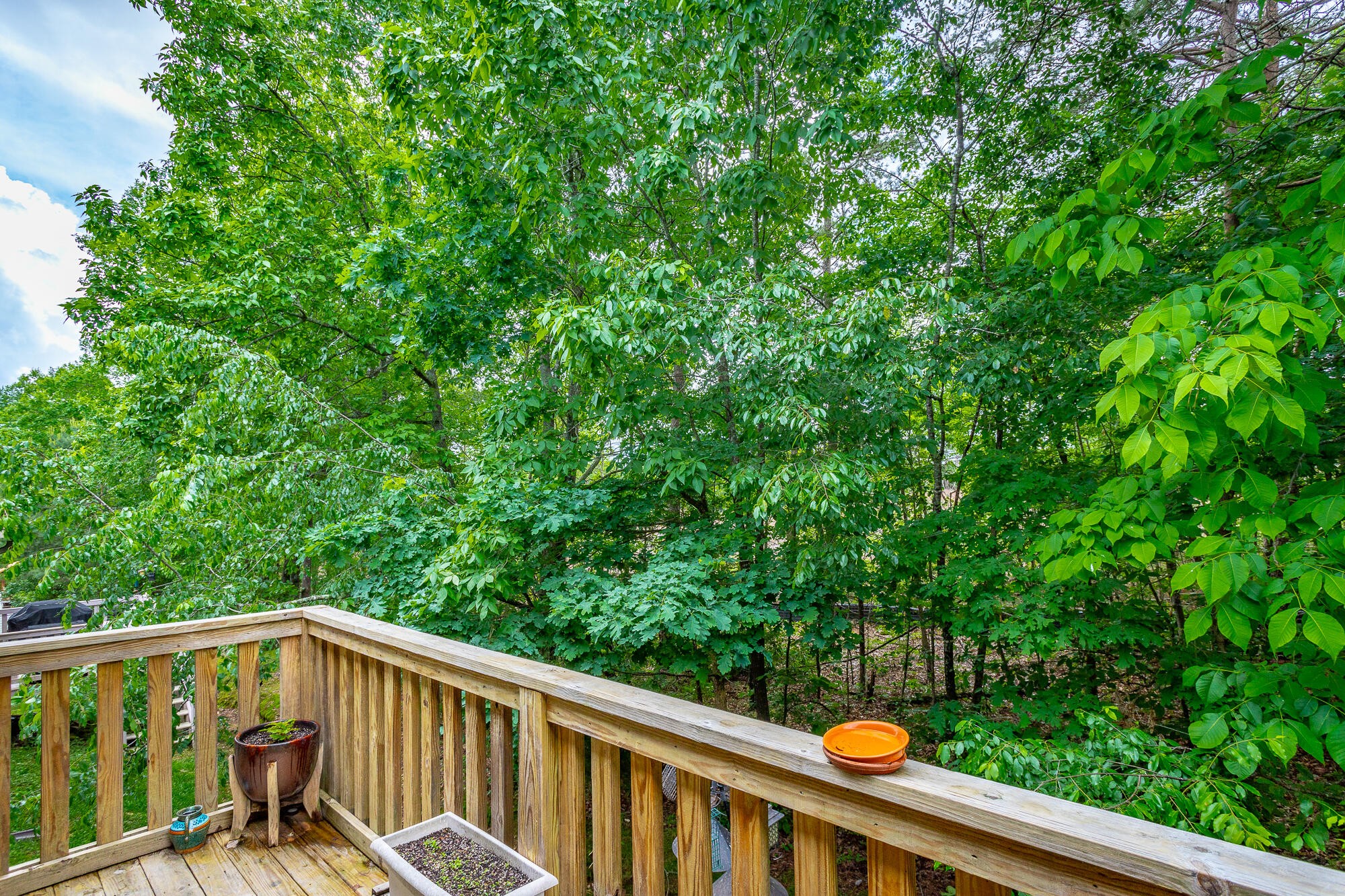 229 Courtland Crest Drive, Sw Property Photo 31
