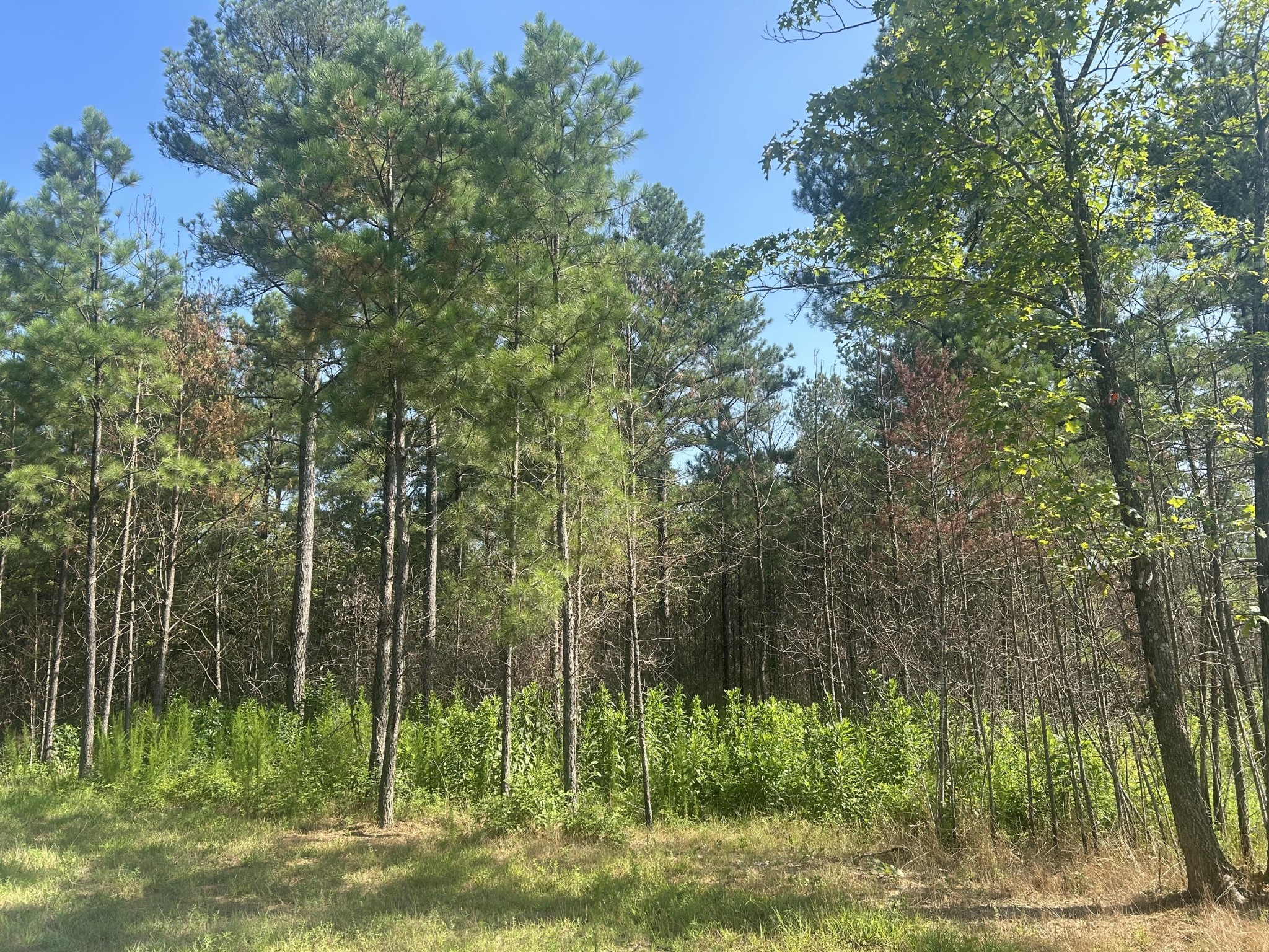 520 Buck Crossing Drive Property Photo 1