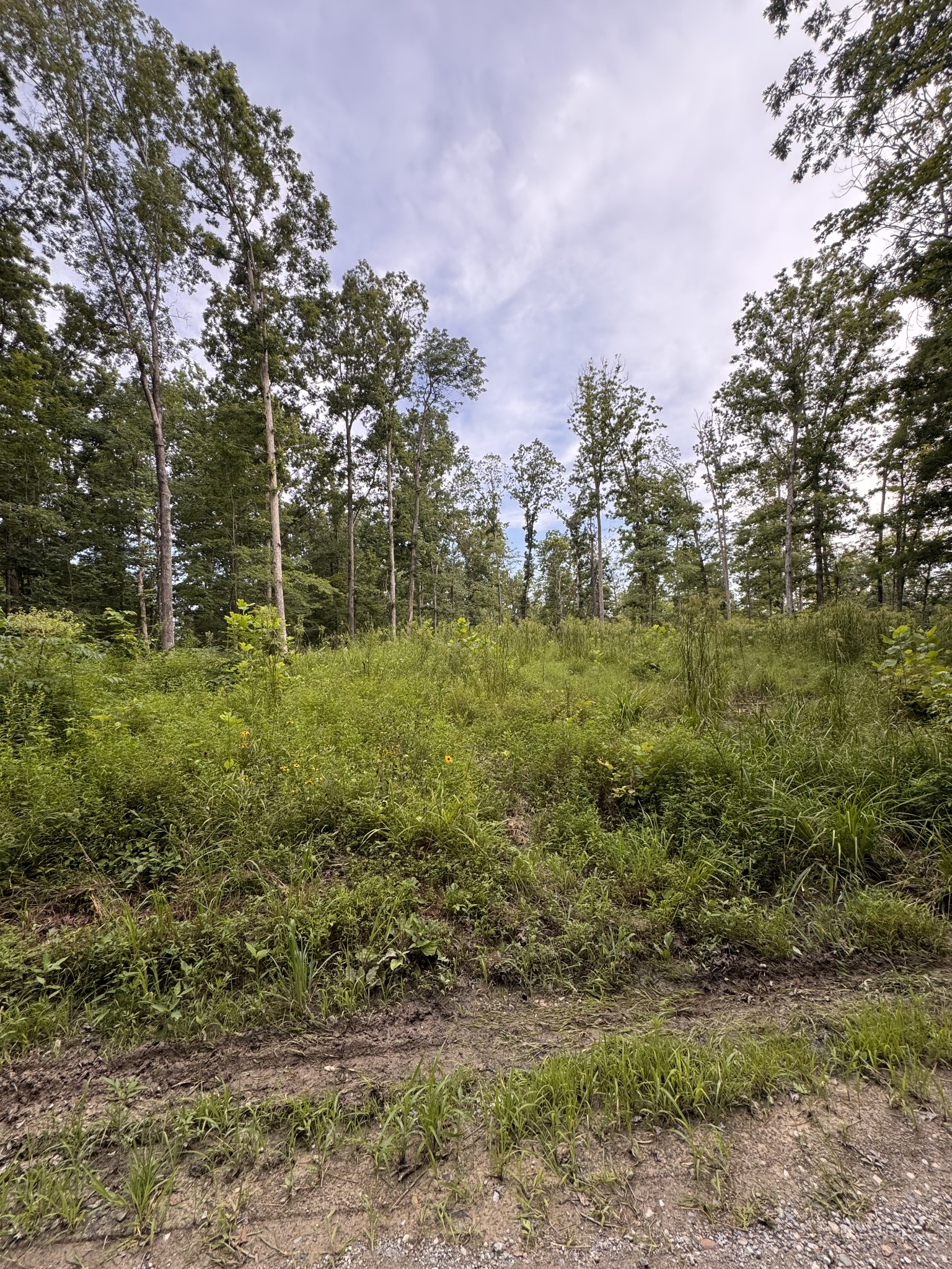 0 Old Lockhart Rd Property Photo 1