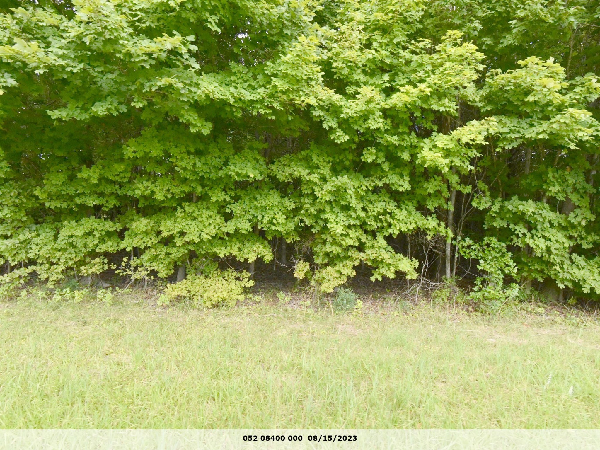 0 Old Dover Road Property Photo