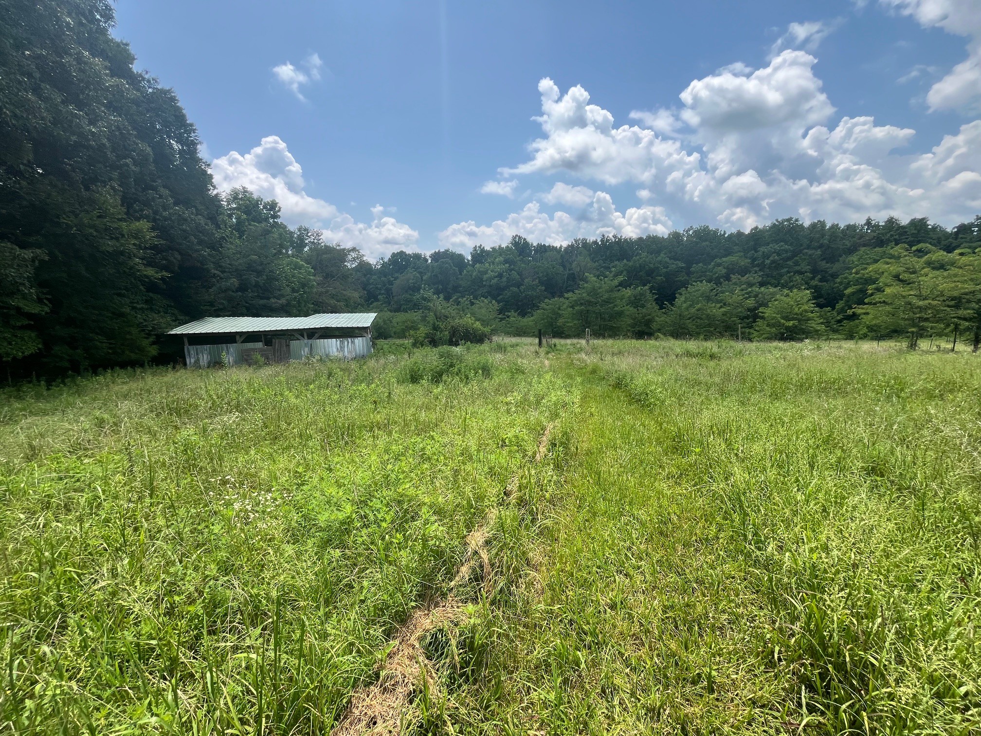 1658 Weems Rd Property Photo 1