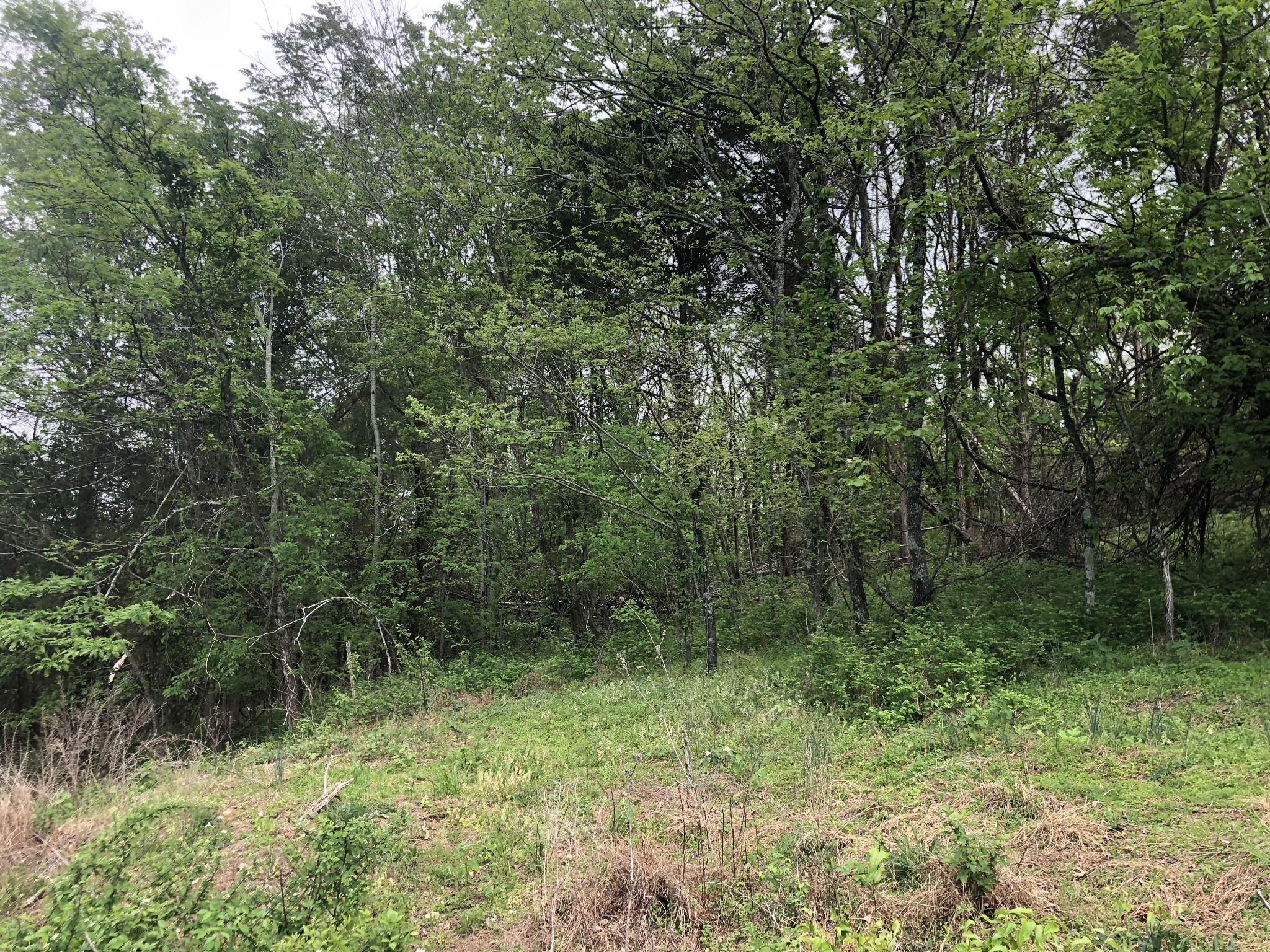 0 Old Highway 99 Property Photo 8