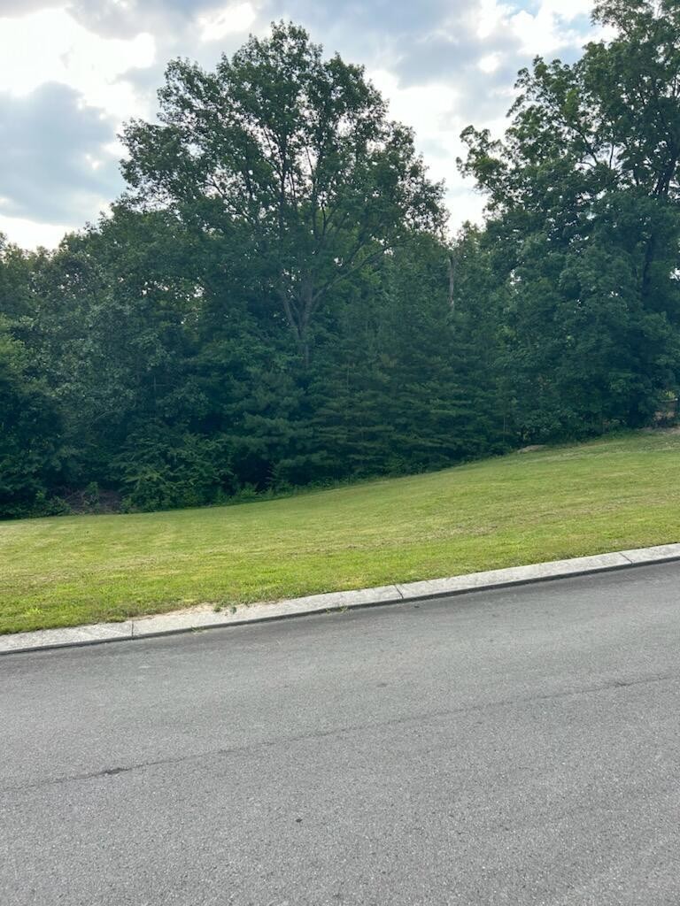 0 Fieldstone Drive Property Photo 1