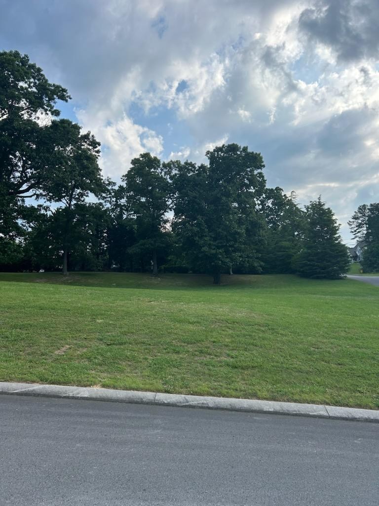 0 Fieldstone Drive Property Photo 1