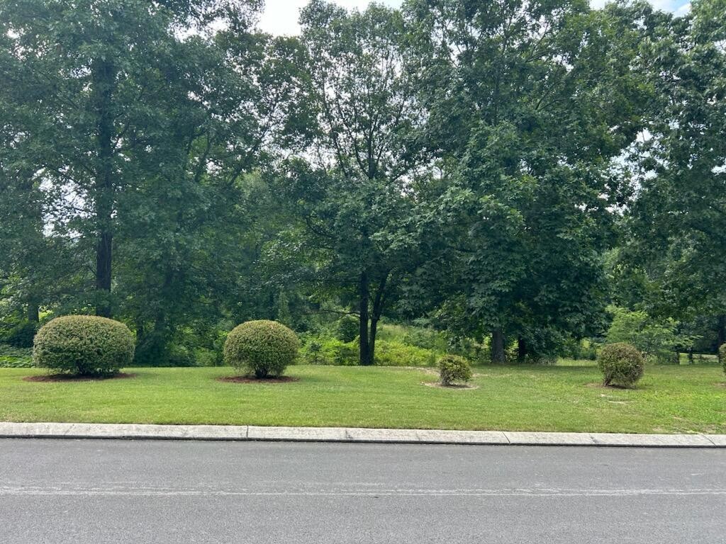 0 Fieldstone Drive Property Photo 1