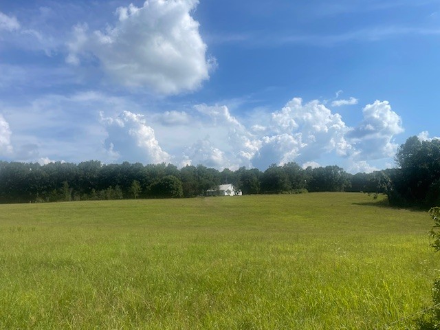0 Tennessee Ridge Road Property Photo 1