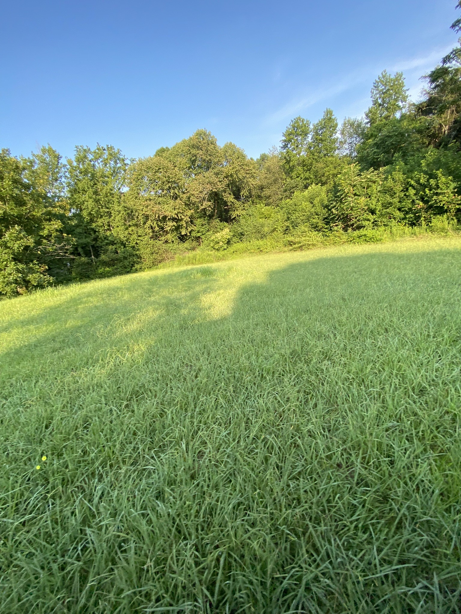 972 Fall River Rd Property Photo 22