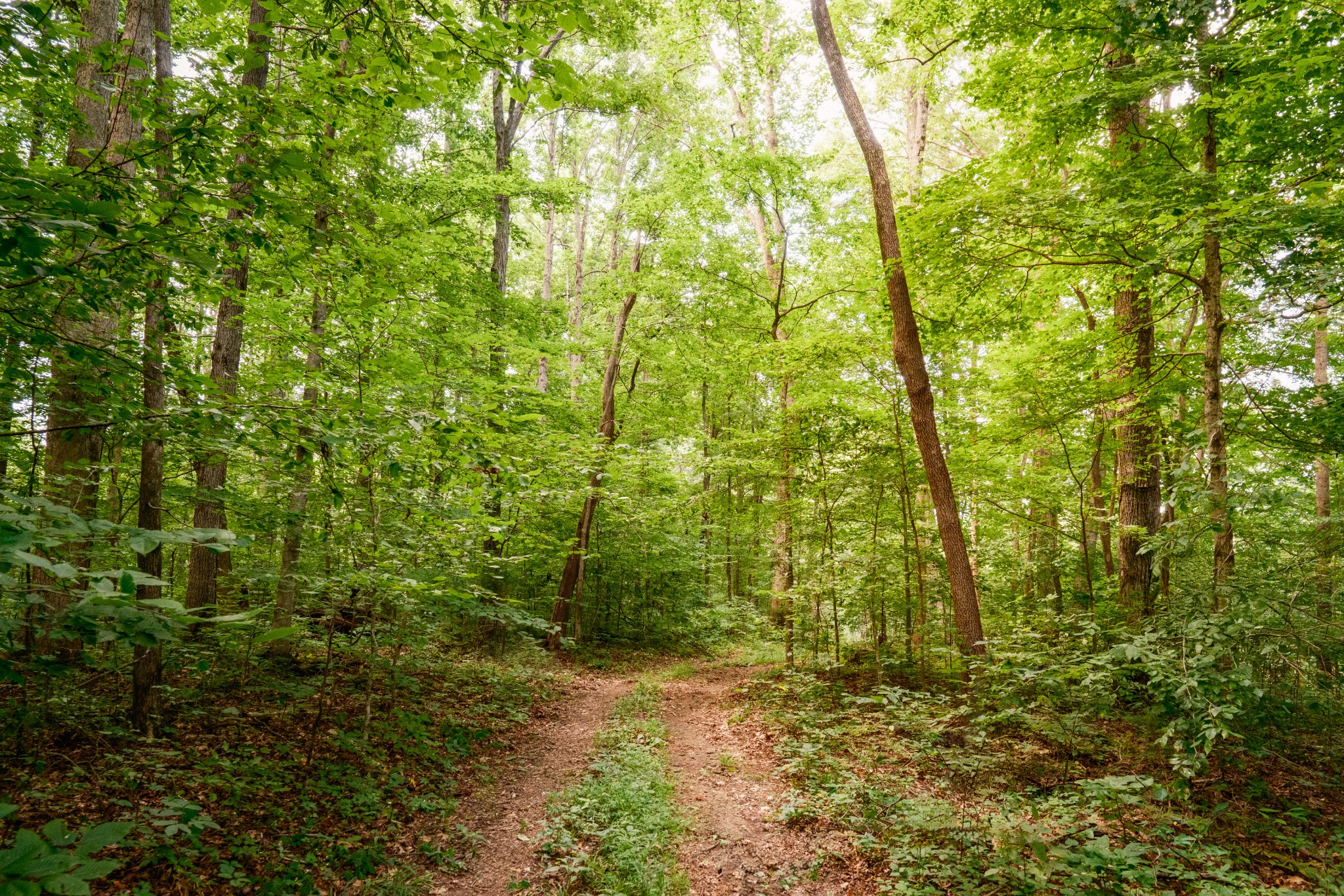 1 Peach Hollow Rd Property Photo 14