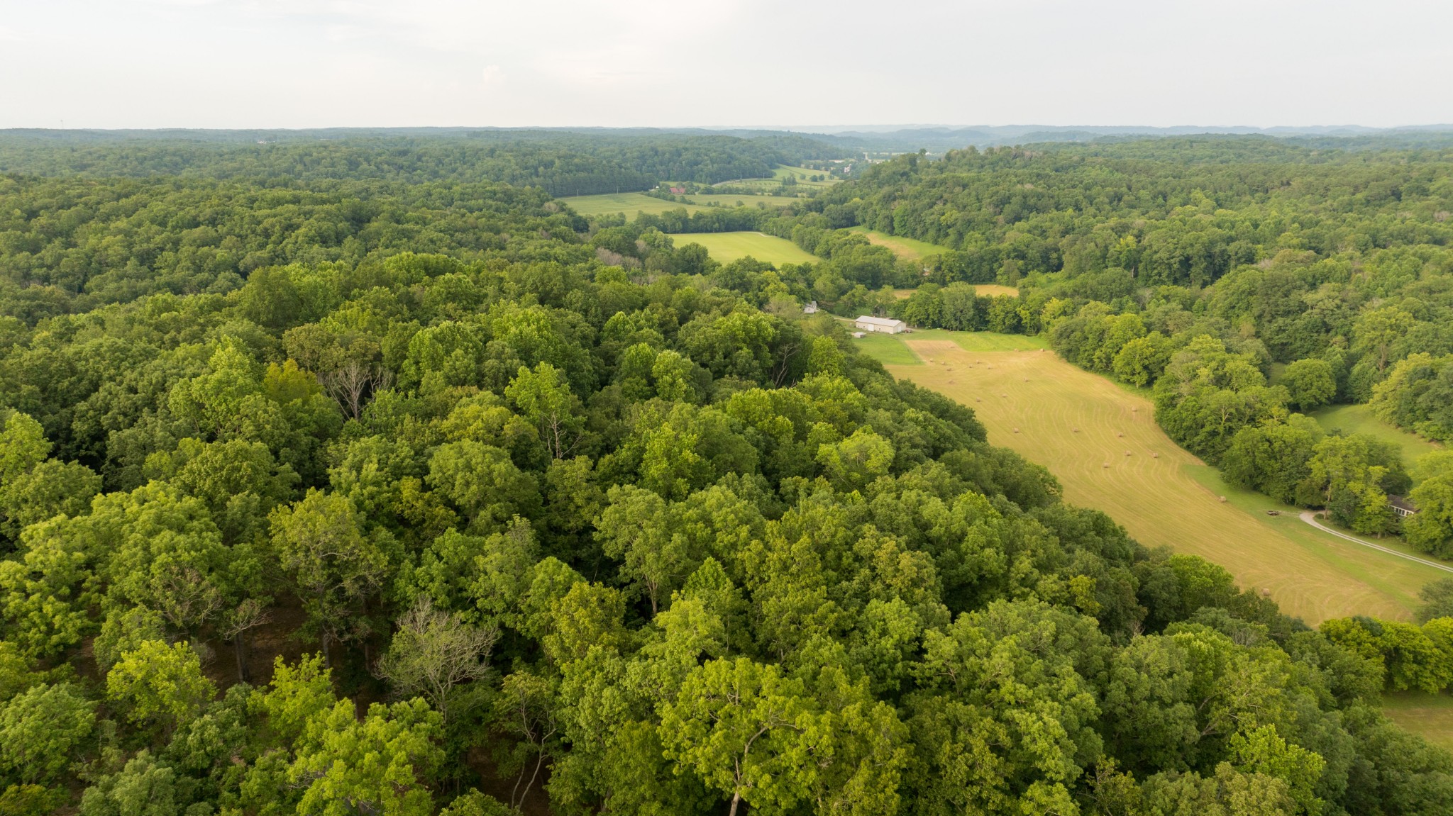 1 Peach Hollow Rd Property Photo 15