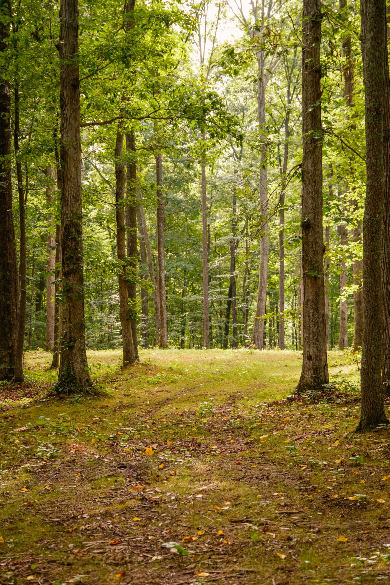 1 Peach Hollow Rd Property Photo 16