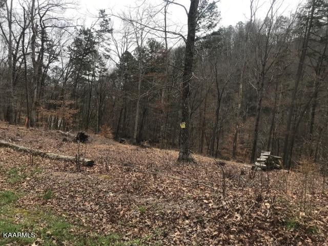 0 Sawmill Cove Property Photo 1