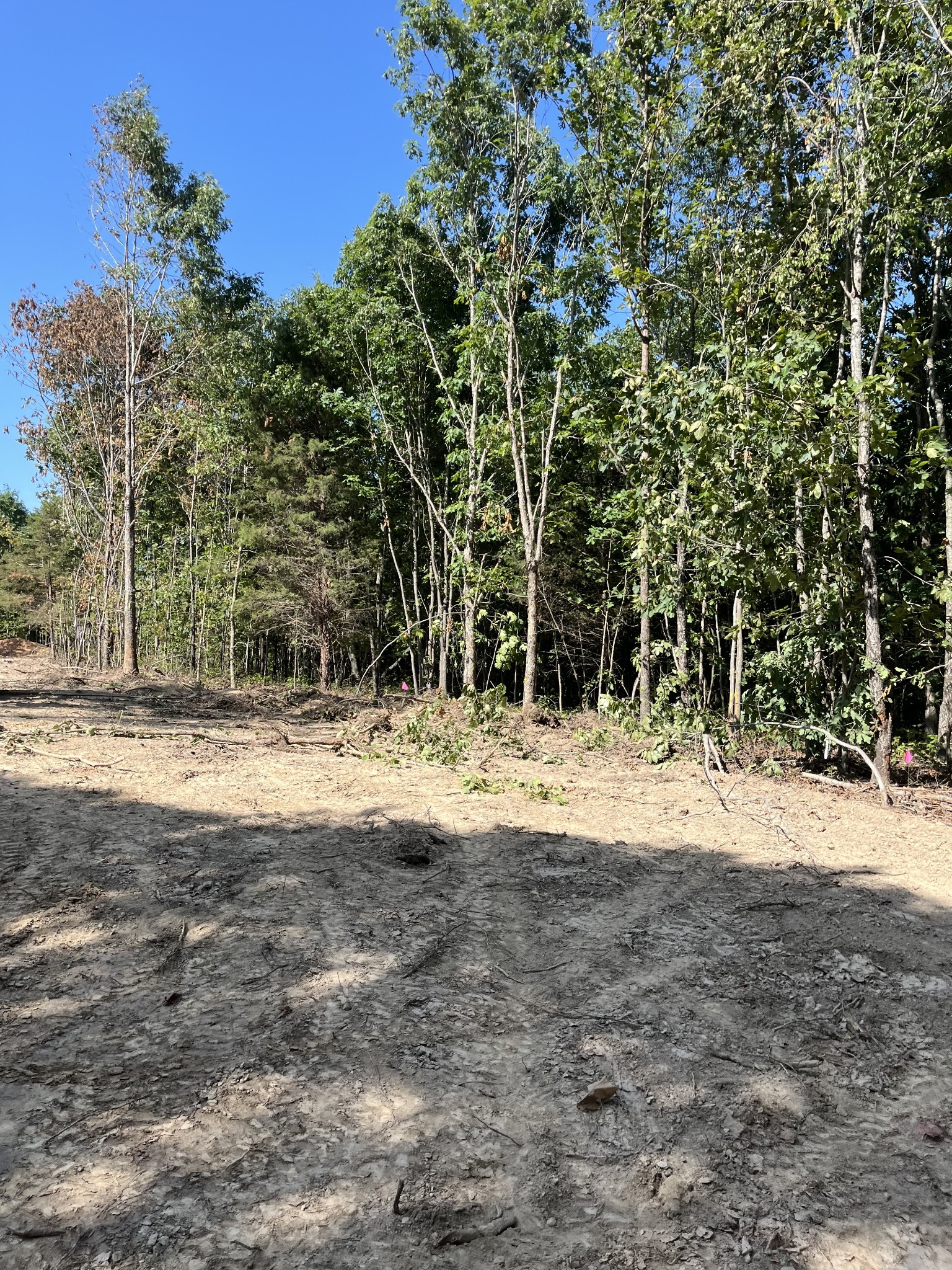 278 Bear Brook Way Property Photo 3