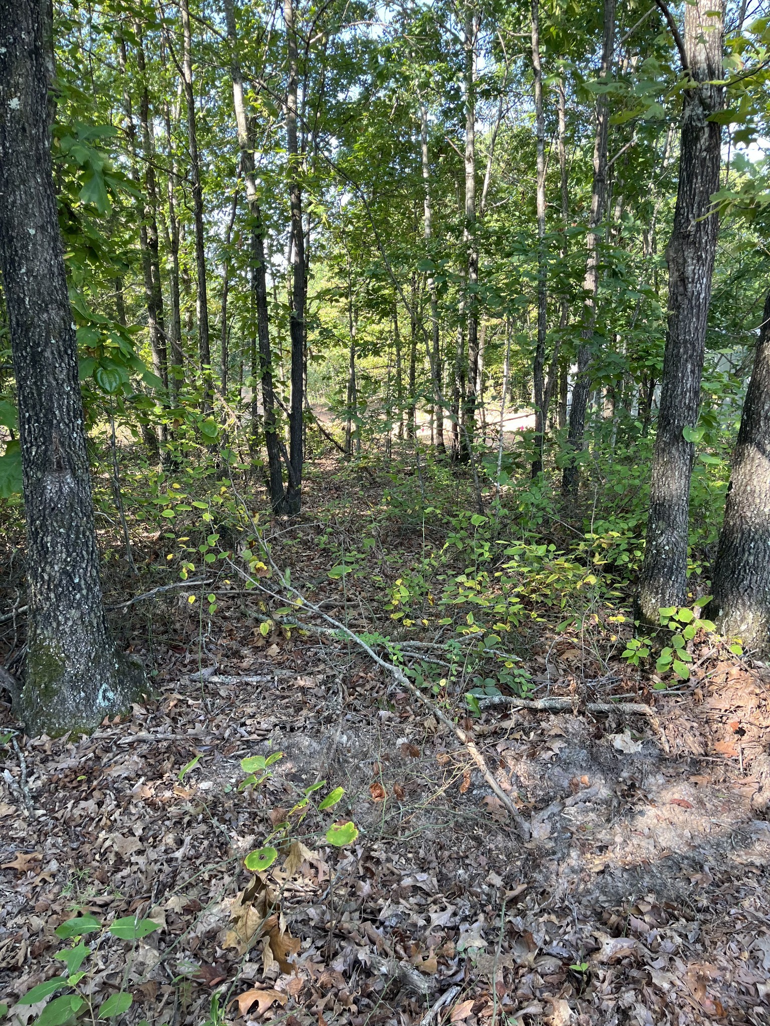278 Bear Brook Way Property Photo 5
