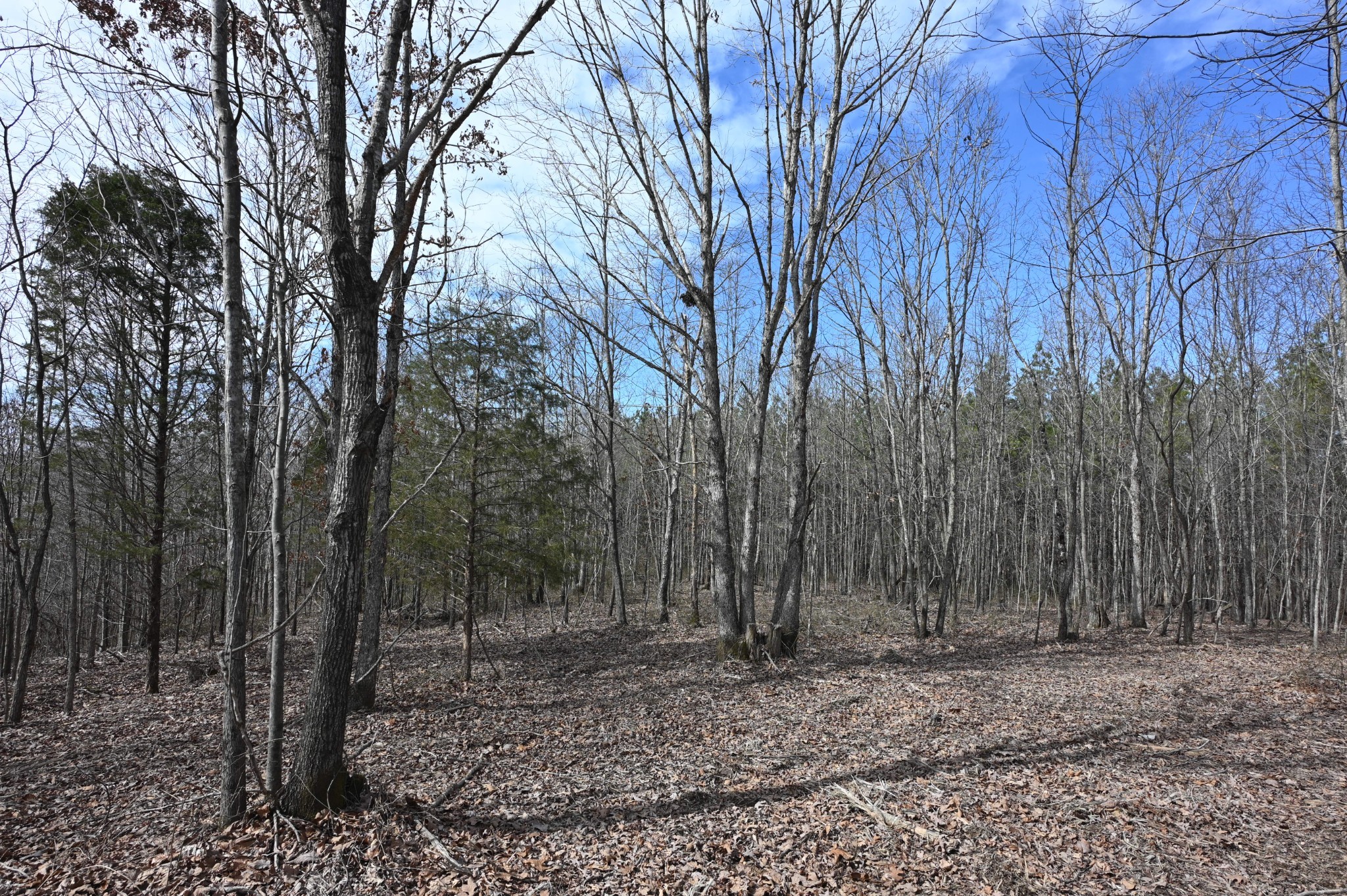 278 Bear Brook Way Property Photo 12